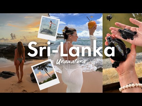 Видео: Шри-Ланка: УНАВАТУНА | ПЛЯЖ ЧЕРЕПАХ | ПЕНТХАУЗ ЗА МАЛЕНЬКИЕ ДЕНЬГИ (subtitles)