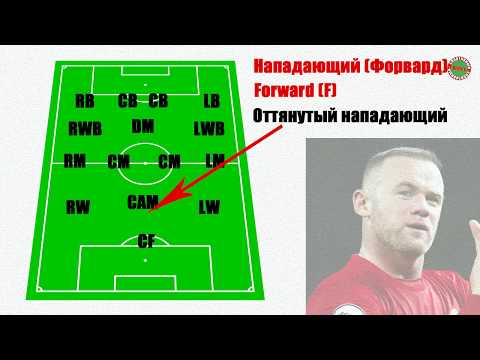 Видео: Все футбольные позиции. Кто такой либеро, вингер, хавбек...?