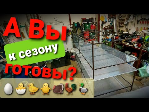 Видео: РАБОТЫ ПРИБАВИЛОСЬ. КЛЕТКИ. БРУДЕРА. ДРОВА. НОВЫЙ ГОД!!!