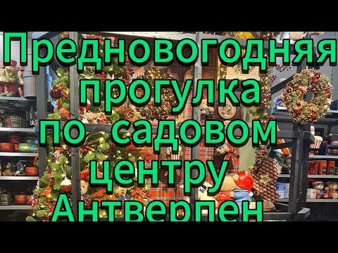 Видео: Предновогодняя прогулка по садовом центру, ноябрь 2025 , Антверпен