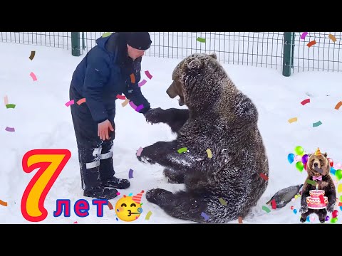 Видео: С Днём Рождения Мансурка🥳!!! Медведь Мансур 🐻💕