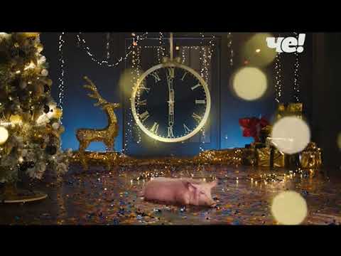 Видео: Рестарт эфира канала "Че!" (19.12.2018)