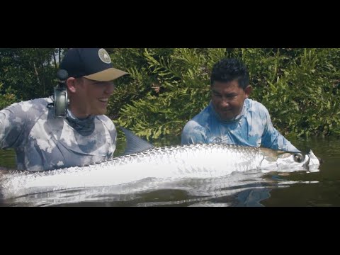 Видео: В поисках тапама: ловля гигантского тарпона нахлыстом в джунглях Никарагуа