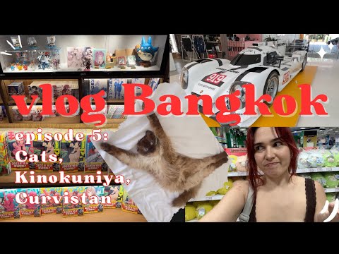 Видео: VLOG5: литл шоппинг в Kinokuniya | Curvistan | Кощьки | Cats • Kinokuniya • Living in Bangkok