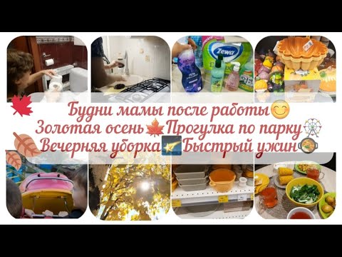 Видео: БУДНИ МАМЫ😊ПРОГУЛКА ПО ПАРКУ🎡ПОКУПКИ🛍МАГНИТ КОСМЕТИК, ФИКС ПРАЙС👍БЫСТРЫЙ УЖИН🥘ВЕЧЕРНЯЯ УБОРКА🌠