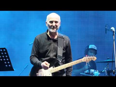 Видео: Петр Мамонов и СН Звуки му - Весенний Вечер @ MadSound #1 «Аналоговые и цифровые» Москва 23.07.2017