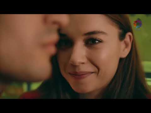 Видео: Сейран и Ферит ~ Зимородок - Valentine's day ❤️‍🔥-  Seyran & Ferit ~ Yalı Çapkini  #YalıÇapkıni