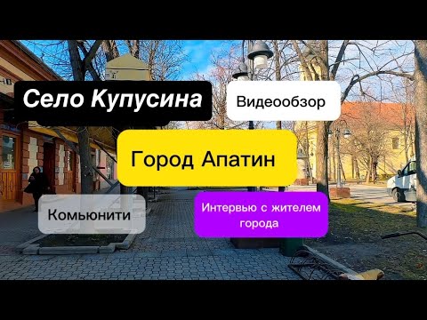 Видео: Сомбор , обзор г.Апатин и село Купусина , интервью . #недвижимостьвсербии