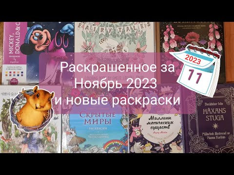 Видео: 3 декабря 2023 г.