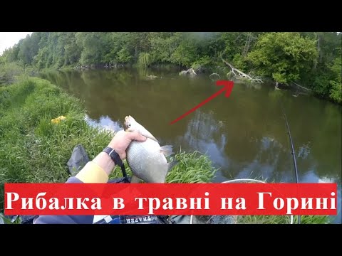 Видео: РИБАЛКА НА Р.ГОРИНЬ. СИЛЬНА ТЕЧІЯ І КОРЯЖНИК, ОСЬ ДЕ Є РИБА!!!