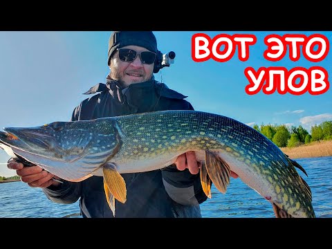 Видео: ТРОФЕЙНАЯ ЩУКА. ЛОВЛЯ КРУПНОЙ ЩУКИ НА БЛЕСНУ. БЛЕСНА НА ЩУКУ. РЫБАЛКА