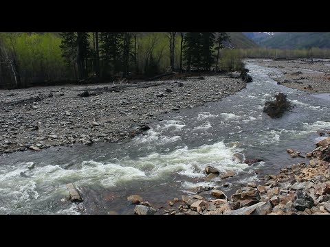 Видео: Силинка 2014