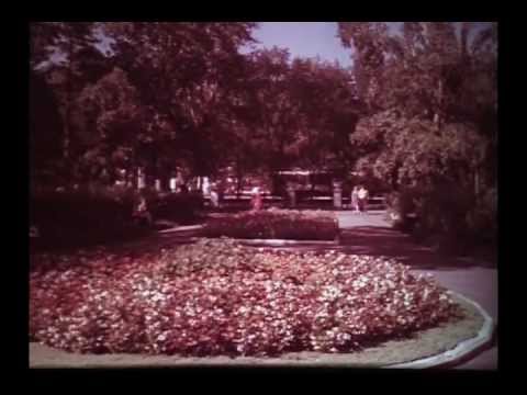 Видео: 3 Благовещенск 1980