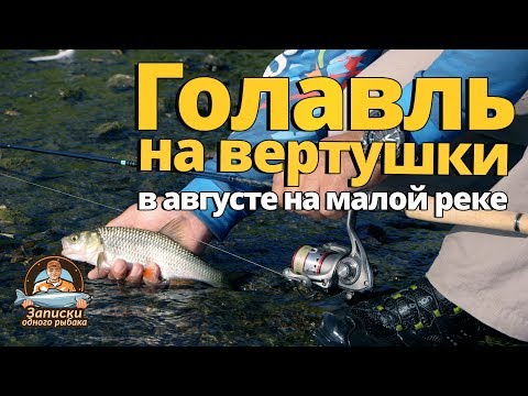 Видео: Голавль в августе на малой реке. Ловля на вертушки!