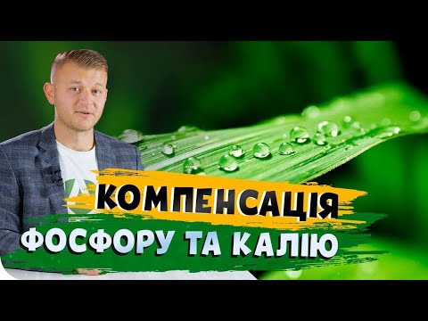 Видео: ЯК ВНЕСТИ ФОСФОР І КАЛІЙ НАВЕСНІ? #ОсновиФермертсва