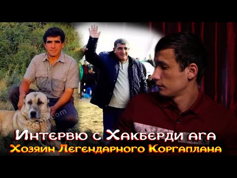 Видео: Интервью с хозяина Легендарного Коргаплана Хакберди ага. Легендарные алабаи. Tht Great Alabai dogs.