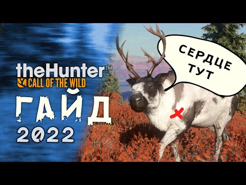 Видео: TheHunter  Call of the Wild / 2022 / Гайд для новичков / Как лучше охотиться?