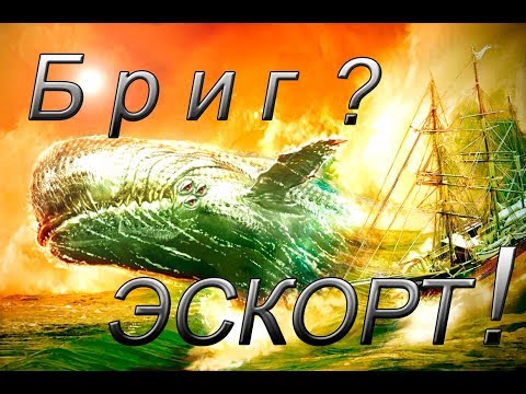 Видео: Black Desert online.Бриг или Эскорт?Чем отличаются и что выбрать?