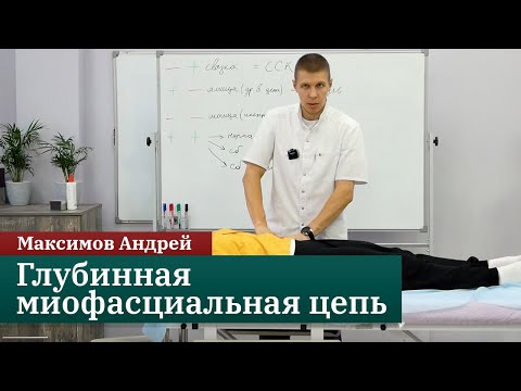 Видео: Глубинная миофасциальная цепь. Максимов Андрей