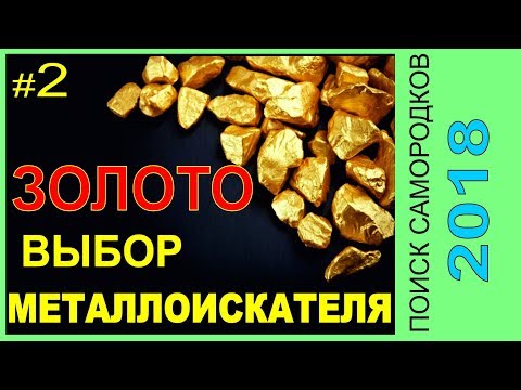 Видео: Выбор металлоискателя для золотых самородков, пляжное золото,MakroRacer Gold