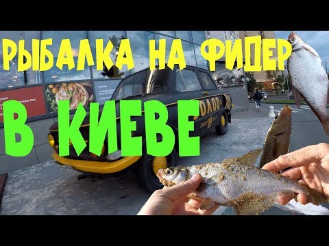 Видео: рыбалка на фидер в Киеве. Пляж Березняки