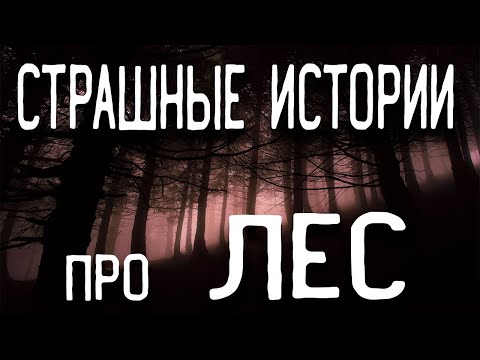 Видео: СТРАШНЫЕ ИСТОРИИ НА НОЧЬ / СТРАШНЫЕ ИСТОРИИ ПРО ЛЕС / СТРАШНЫЕ ИСТОРИИ ПРО ДЕРЕВНЮ / ТАЙГУ