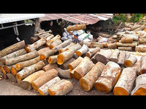 Видео: Удивительный процесс с огромным количеством дерева. Заводу 100 лет