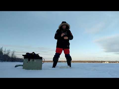 Видео: озеро Большое Симагинское (Красавица)