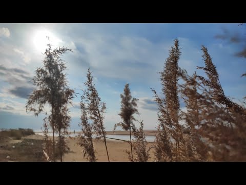 Видео: Море в декабре Поехали в Ливадию чуть не подожгли базу