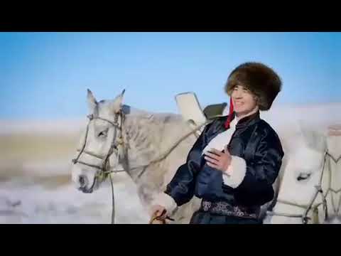 Видео: Монгольская песня  "Шигширгийн Ай"