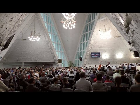 Видео: Журавли
