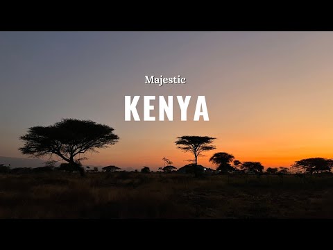 Видео: 3 месяца в КЕНИИ 🇰🇪 жизнь на Диани Бич и самый старый город - Ламу 🐚