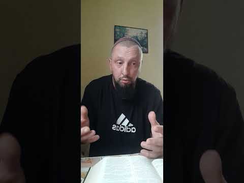 Видео: Почему? Потому! Кто сможет ответить.