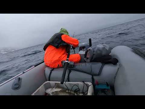 Видео: Морская рыбалка на треску  Дельфины в Баренцевом море!!!!