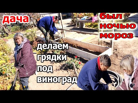 Видео: Дача.Делаем Грядки.Собираем Помидоры.Уже был мороз на почве и все испортил