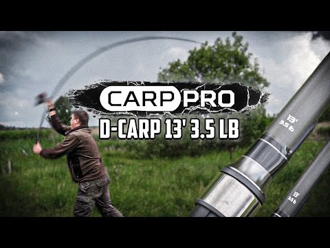 Видео: НА ЧТО СПОСОБНО УДИЛИЩЕ НА 4000 РУБЛЕЙ. Полный Обзор Carp Pro D-Carp 13ft