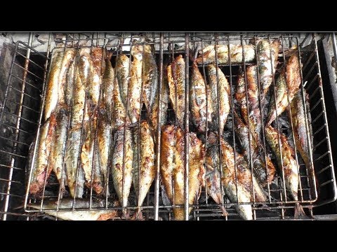 Видео: Скумбрия на гриле в соусе терияки, на берегу моря!