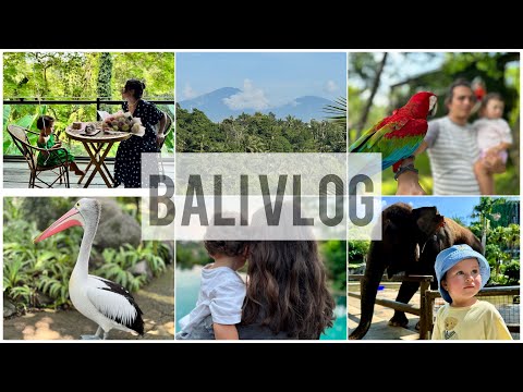 Видео: БАЛИ ВЛОГ/УБУД/ОТМЕЧАЕМ ДЕНЬ РОЖДЕНИЯ ДОЧКИ/BALI ZOO