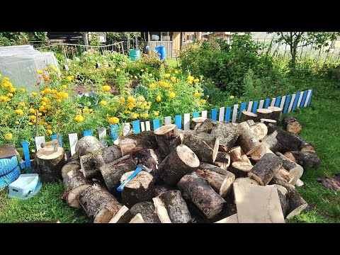 Видео: Заготовка дров 2025