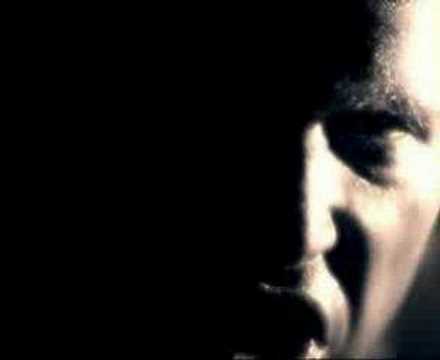 Видео: гевал зверь