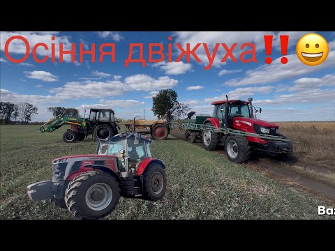 Видео: Рыхлим‼️ Молотим ‼️Брыгаем‼️ Не успеваем ничего😱 Pioneer LE185💪 Белкар Флекс на рапс👍