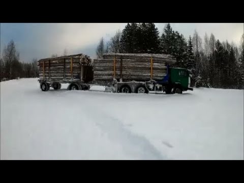 Видео: По умолчанию, возим лес