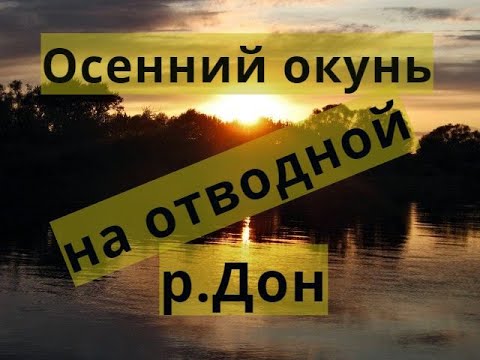 Видео: Рыбалка на отводной поводок Воронеж р.Дон Шилово