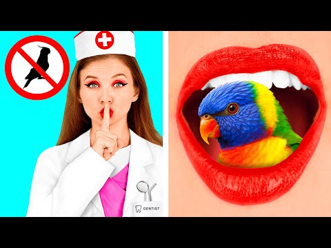 Видео: Как Спрятать Животных от Стоматолога