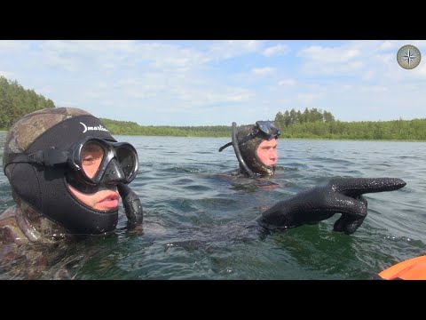 Видео: ПОДВОДНАЯ ОХОТА ЛЕТОМ (ПРОЗРАК, ОЗЕРО, ЖАРЕНАЯ РЫБА). КОМПАС №46