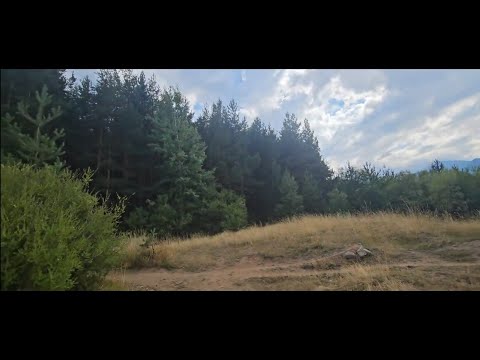Видео: Банско.  Лес