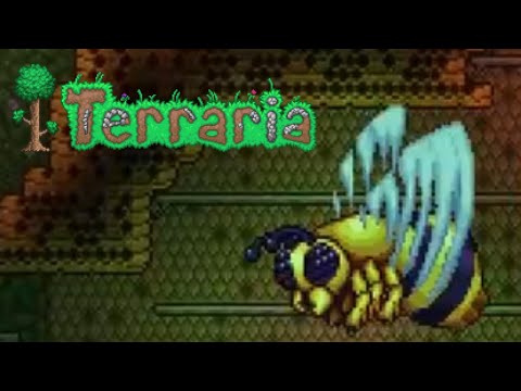 Видео: Убили пчЕлу➪Terraria # 12