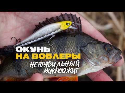 Видео: Окуни Весной на Воблеры и Неправильный Микроджиг на Речке