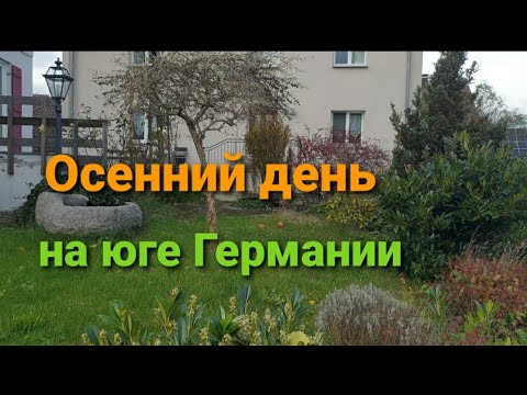 Видео: КУПИЛА  ДОМ 🏠   НО ТОЛЬКО ДЛЯ КОШЕК 🐱 РАСПАКОВКА ПОСЫЛКИ 📦 ВСЁ ДЛЯ ЛЮБИМЦЕВ ❤  