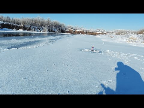 Видео: Поехал за налимом и судаком на Нуру, первый лед на Нуре 24 ноября 2024 года